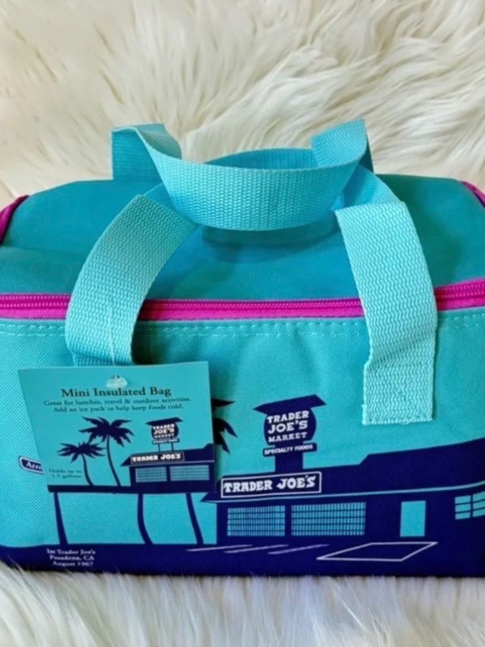 Trader Joe's Mini Insulated Lunch Bag Teal and Purple